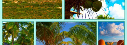 Банановые пальмы и сгущенное молоко в аромате «Amaranthine» от Penhaligon’s