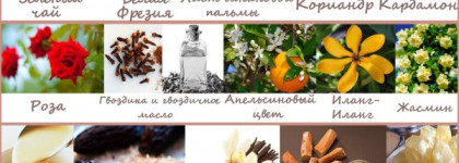 Банановые пальмы и сгущенное молоко в аромате «Amaranthine» от Penhaligon’s