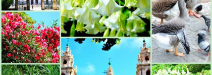 Томная нега дурмана в аромате “Datura Blanche” Keiko Mecheri