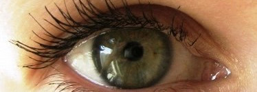 Мои любимые туши – Clinique High Impact Curling и Flirt! Lash-a-delic