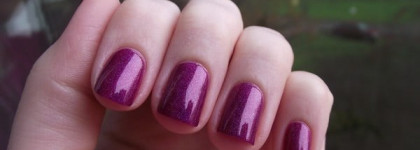 Любите ли вы голографики, так как люблю их я?