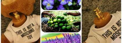 Плюшевый и милый Moschino Toy