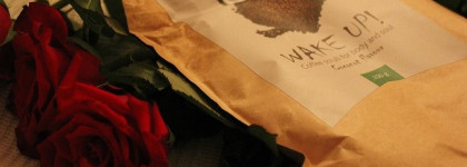 Самое любимое от Almea: соблазнительные совы