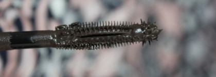 Тушь для ресниц Max Factor False Lash Epic