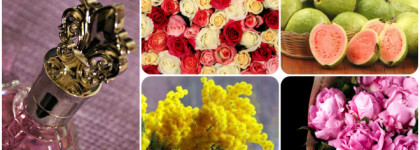 Цитрусовый Marina de Bourbon Royal Marina Rubis EDP