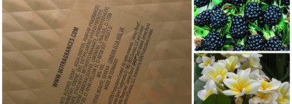 James Bond 007 for Women Eon Productions EDP