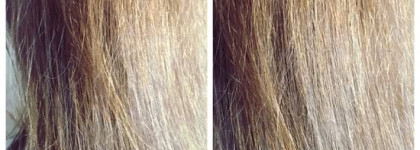 Ogx: Argan Oil of Marocco