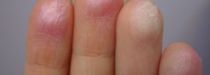 Givenchy Le Prisme Blush Bucolique #1 Bucolic Rose