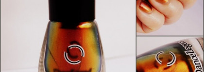 Золотая осень с Dance Legend 094 - Boo