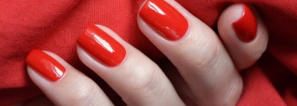 El Corazon "Born In Ussr" №865