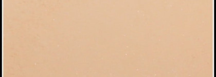 Приятное открытие - Shiseido Perfect Smoothing Compact Foundation  (Выравнивающая тональная пудра), I00