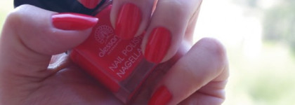 Мой Страстный тюльпан Alessandro