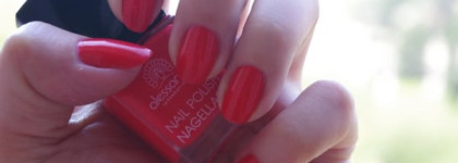 Мой Страстный тюльпан Alessandro