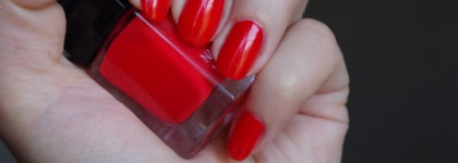 Мой Страстный тюльпан Alessandro