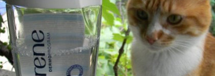 Мицеллярная жидкость 3 в 1 от Lirene