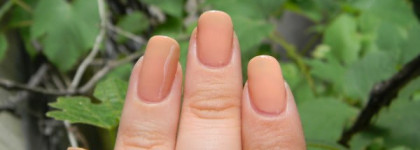 Обзор моих лаков Golden Rose