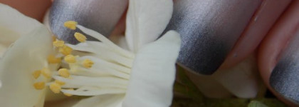 Дыхание зимы или Термолак Dance Legend 161