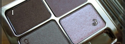 Clarins Ombre Minerale 4 Couleurs Eye Quartet Mineral Palette #3 - Rosewood – Четырехцветные минеральные тени для век - Розовое дерево