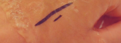 Краткий обзор косметических продуктов H&M