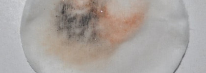 Средства для снятия макияжа (Чистая линия, Diademine, Eveline, Garnier, Givenchy, L'oreal, Lancome, Sisley)