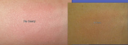 Bare Escentuals blush Vintage Peach