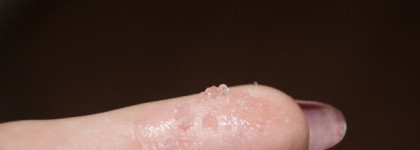 Моя коллекция мыловаров