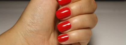 Последние лако-приобретения