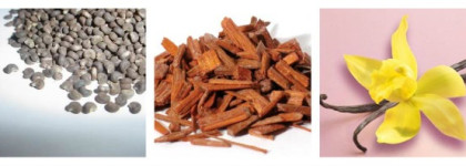 See By Chloe, или аромат моей весны