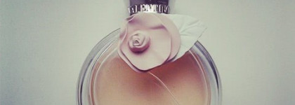 Нежная Valentina EDP от Valentino