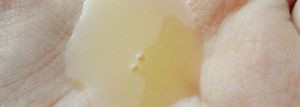 Двое из ларца: хитрый обманщик и уверенный хорошист