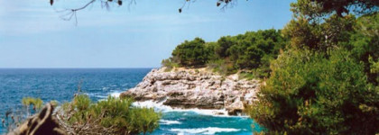 Поиски аромата лета 2012 или  Dior Escale à Parati