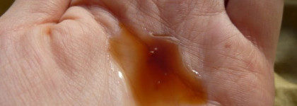 Richenna Мини-Набор Gold из 2-х предметов - "Роскошь хны"? Сомнительно