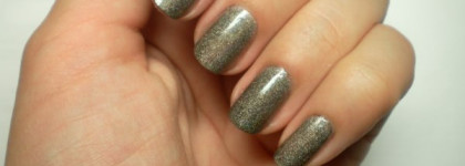 Гадкий утёнок? Не совсем. Severina 3D Polish 306