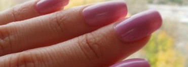 Golden Rose Paris  № 218