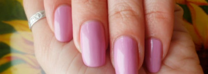 Golden Rose Paris  № 218