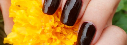 Golden Rose Paris №90