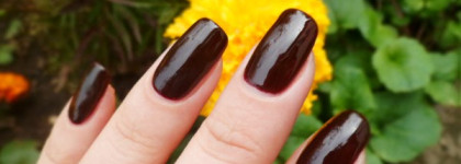 Golden Rose Paris №90