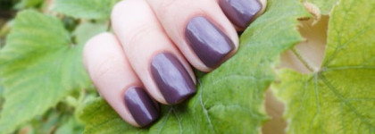 Golden Rose Paris №120