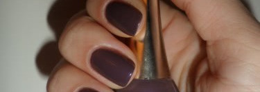 Golden Rose Paris №120