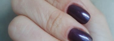 Golden Rose Paris №120