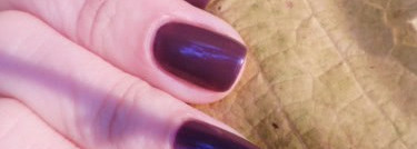 Golden Rose Paris №120