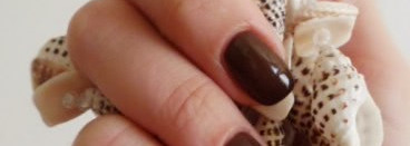 Golden Rose Paris  № 113