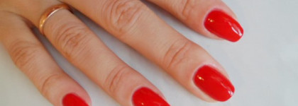 Golden Rose Paris  № 60