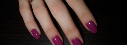 Golden Rose Rich Color № 14