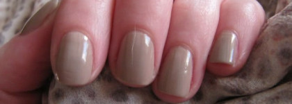 Крем-брюле Golden rose №48