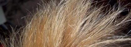 Oblepikha Siberica Облепиховый комплекс масел для кончиков волос от Natura Siberica
