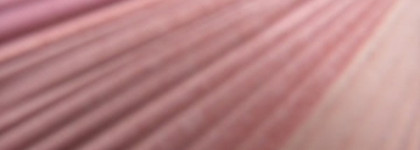 Коллекция  ArtDeco зима 2013 Glam Deluxe: ArtDeco Glam Star Blusher three-color with subtle shimmer и  ArtDeco Glam Couture eyeshadow #18