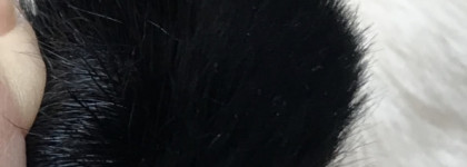 Что за ..? Givenchy Blush Brush