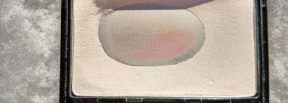 Shiseido Luminizing Satin Face Color High Beam WT905