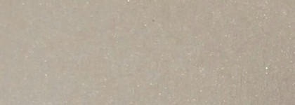 Shiseido Luminizing Satin Face Color High Beam WT905